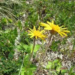 Ferienhaeuser Troester 아파트 *