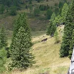 Ferienhaeuser Troester 아파트 *
