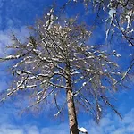 Ferienhaeuser Troester 아파트 *