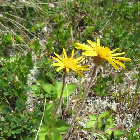 Ferienhaeuser Troester شقة *