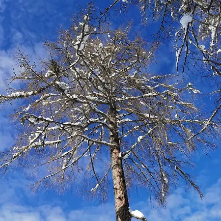 Ferienhaeuser Troester Апартаменти *