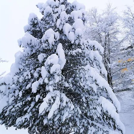 Apartament Ferienhaeuser Troester Bad Kleinkirchheim