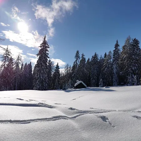 Ferienhaeuser Troester * Бад-Кляйнкірхгайм