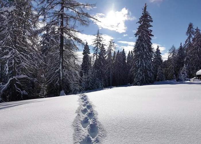 Ferienhaeuser Troester Appartement Bad Kleinkirchheim