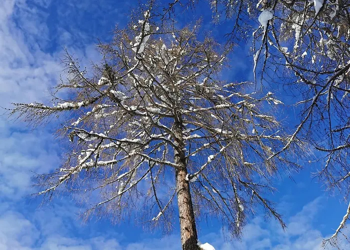Ferienhaeuser Troester Appartement *