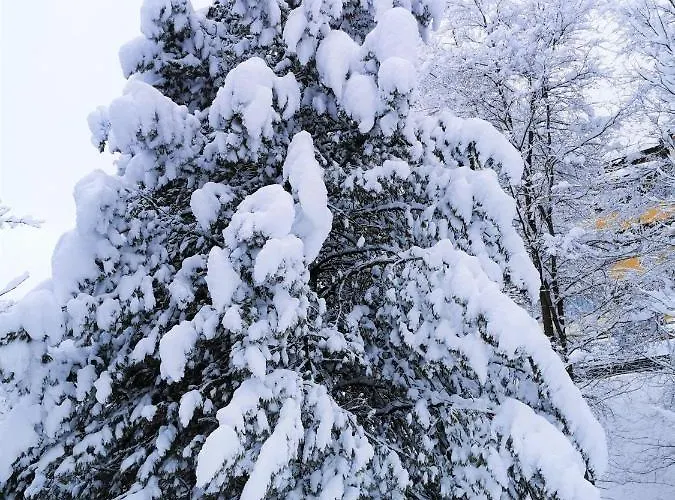 Appartement Ferienhaeuser Troester Bad Kleinkirchheim