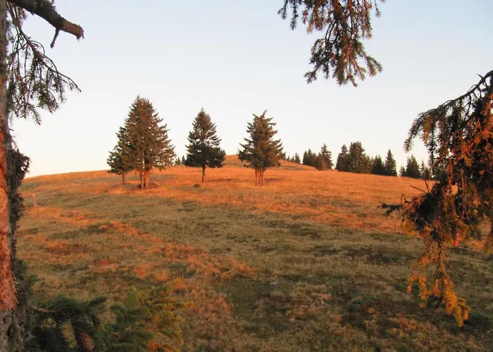 Ferienhaeuser Troester Appartement